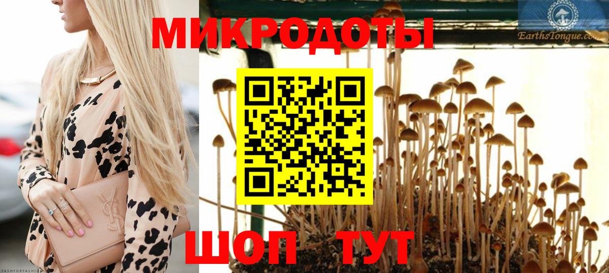 Галлюциногенные грибы Psilocybine cubensis  Вход с VPN  Кумертау 